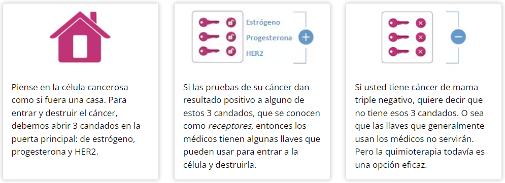 Explicación del cáncer de mama triple negativo. Fuente: Centro para el Control y la Prevención de Enfermedades de Estados Unidos.